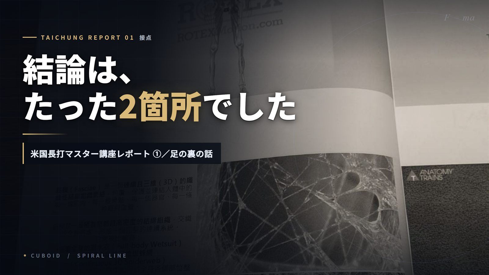 【台中レポート①】結論は、たった2箇所でした——足の裏の話